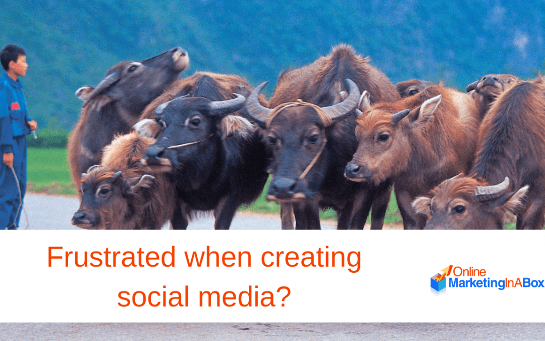 Frustrated when creating social media