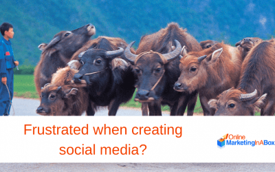 Frustrated When Creating Social Media?